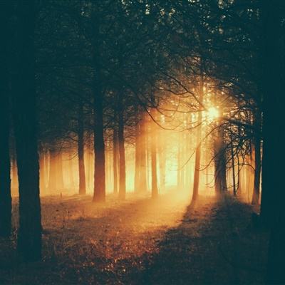 金年会体育下载app